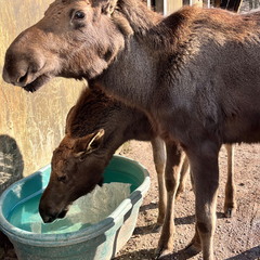 23-02-13 14-13-02 4215